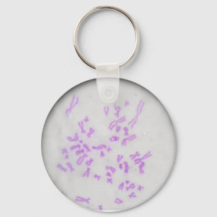 Schlüsselring Chromosomen Schlüsselanhänger