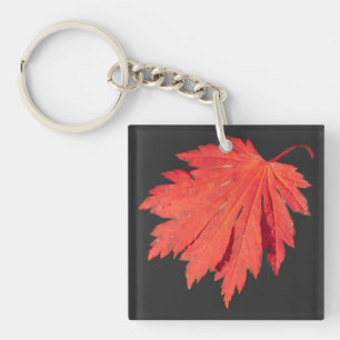 Schlüsselring für japanische Ahornleaf