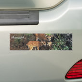 Schlüsselrotwild Autoaufkleber (Auf Auto)