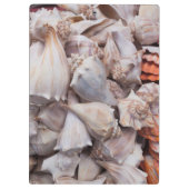 Schlüsselwesten, Muscheln Klemmbrett (Rückseite)