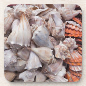 Schlüsselwesten, Muscheln Untersetzer (Vorderseite)