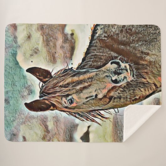 Schlusstier 2 sherpadecke (Vorderseite (Horizontal))