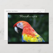 Schmalbandgrenze Postkarte (Vorne/Hinten)