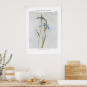 Schmale blaue Flagge; Gift markroot Poster (Küche)