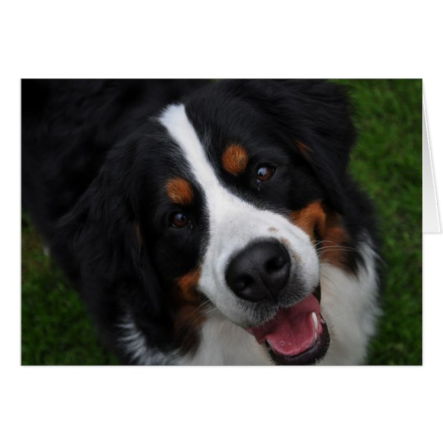 schmale Oberfläche (Vorderseite (Horizontal))