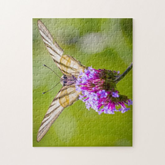 Schmaler Frack Schmetterling. Puzzle (Vertikal)