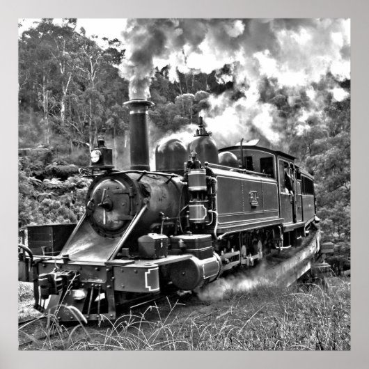 Schmaler Gage Steam Train Puffing Motor Poster (Vorne)