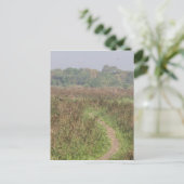 Schmaler Pfad durch das große Gras Postkarte (Stehend Vorderseite)