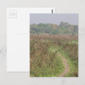 Schmaler Pfad durch das große Gras Postkarte (Vorne/Hinten)