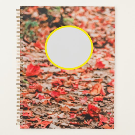 Schmaler Planer (Vorderseite)