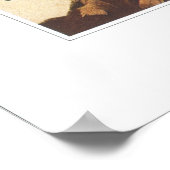 Schmalgelb Frühlingshauty - Claytonia virginica Poster (Ecke)