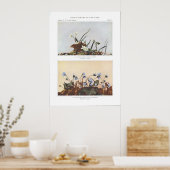 Schmalgelb Frühlingshauty - Claytonia virginica Poster (Küche)