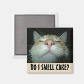 SCHMELLE ICH? FUNNY ORANGE CAT MAGNETS MAGNET (Vorderseite/Rückseite)