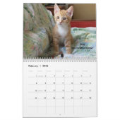 Schmelzen Sie Ihr Herz - MEOW Kätzchen-Kalender Kalender (Feb 2026)