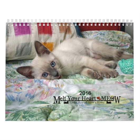 Schmelzen Sie Ihr Herz - MEOW Kätzchen-Kalender Kalender (Titelbild)
