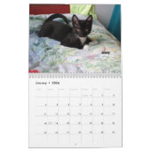 Schmelzen Sie Ihr Herz - MEOW Kätzchen-Kalender Kalender (Jan 2026)
