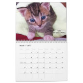 Schmelzen Sie Ihr Herz - MEOW Kätzchen-Kalender Kalender (Mär 2027)
