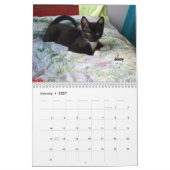Schmelzen Sie Ihr Herz - MEOW Kätzchen-Kalender Kalender (Jan 2027)