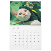 Schmelzen Sie Ihr Herz - MEOW Kätzchen-Kalender Kalender (Mär 2026)