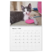 Schmelzen Sie Ihr Herz - MEOW Kätzchen-Kalender Kalender (Feb 2026)
