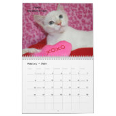 Schmelzen Sie Ihr Herz - MEOW Kätzchen-Kalender Kalender (Feb 2026)