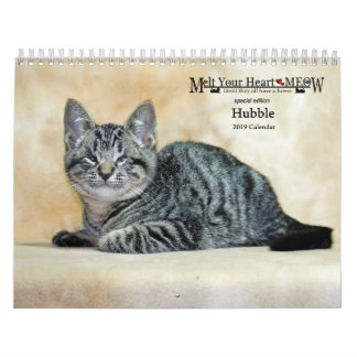 Schmelzen Sie Ihren HerzMeow Hubble 2019 Kalender