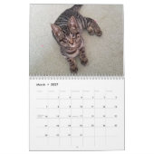Schmelzen Sie Ihren HerzMeow Hubble 2019 Kalender (Mär 2027)