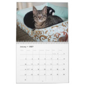 Schmelzen Sie Ihren HerzMeow Hubble 2019 Kalender (Jan 2027)
