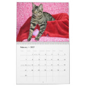 Schmelzen Sie Ihren HerzMeow Hubble 2019 Kalender (Feb 2027)