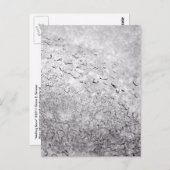 Schmelzschnee Postkarte (Vorne/Hinten)