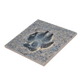 SCHMERZEN IM SAND FLIESE (Seite)