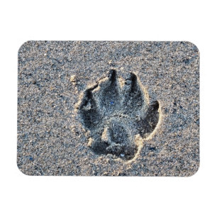 SCHMERZEN IM SAND MAGNET