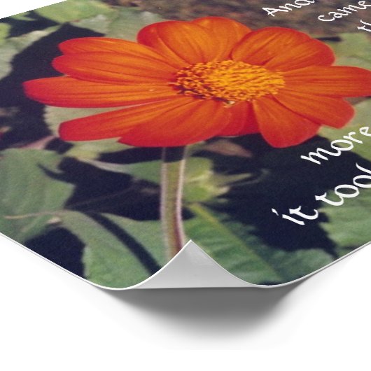 Schmerzen und Risiken - Anais Nin - Plakat (Ecke)