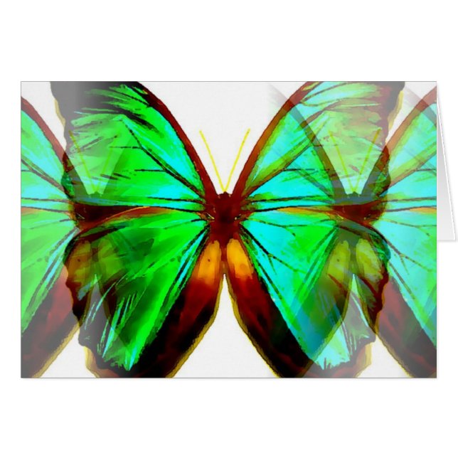 Schmetterling (Vorderseite (Horizontal))