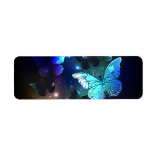 Schmetterling