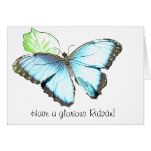 Schmetterling