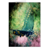 Schmetterling (Vorne)