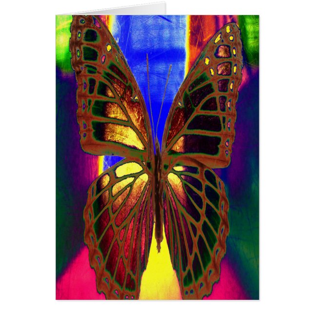 Schmetterling (Vorne)