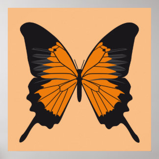 Schmetterling1 Poster