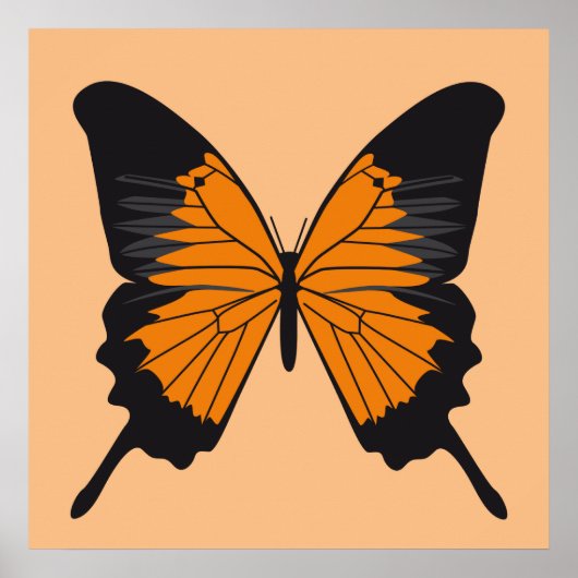 Schmetterling1 Poster (Vorne)