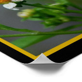 Schmetterling302 Poster (Ecke)