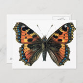 Schmetterling 01 postkarte (Vorne/Hinten)