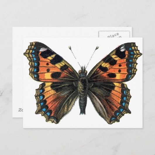 Schmetterling 01 postkarte (Vorne/Hinten)