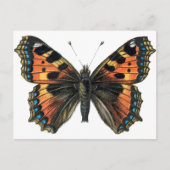 Schmetterling 01 postkarte (Vorderseite)