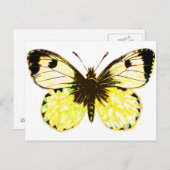 Schmetterling 02 postkarte (Vorne/Hinten)