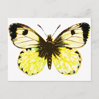 Schmetterling 02 postkarte