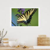 Schmetterling 1 poster (Küche)