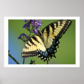 Schmetterling 1 poster (Vorne)