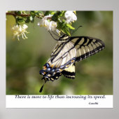 Schmetterling 1 poster (Vorne)