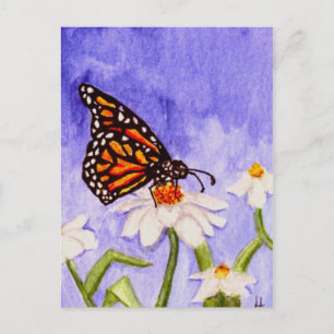 Schmetterling 1 Postkarte